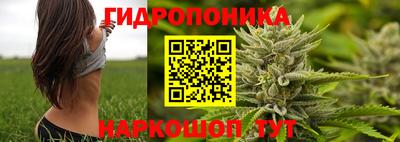 стафф Свободный