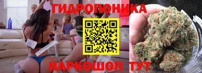 шишки Севастополь