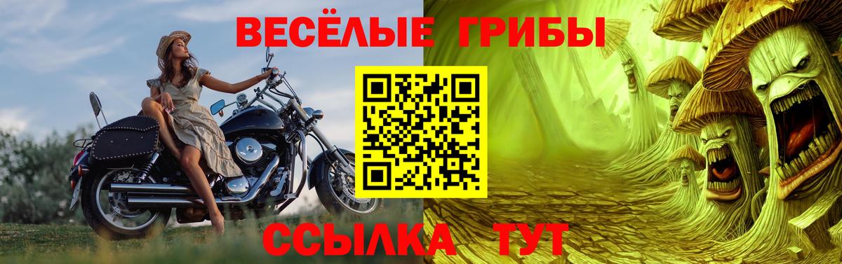 Псилоцибиновые грибы прущие грибы  Вход с VPN  Скопин 